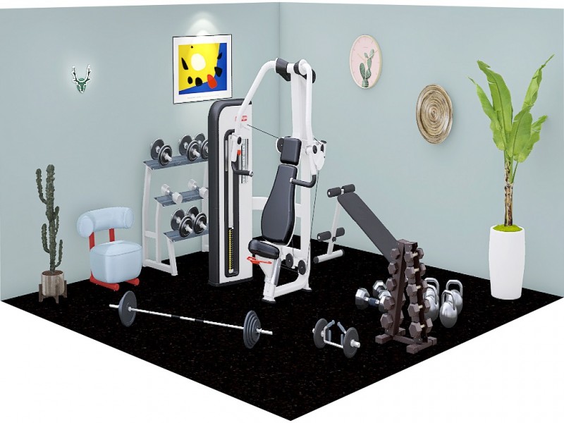  Home gym. Make your home a fitness paradise. 